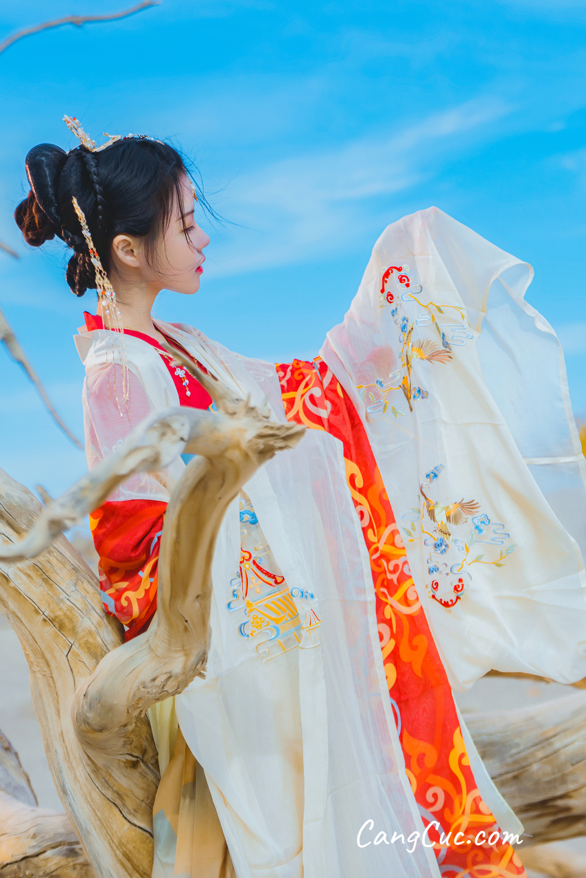 Coser@桜桃喵 – 惊鸿